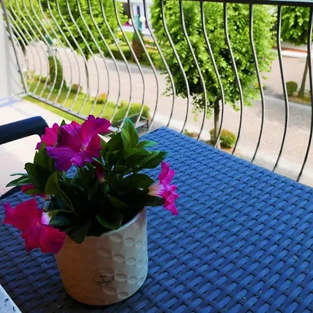 Krystall Tatil Evi *